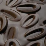 Jak Vypěstovat Kakaovník: Zelený Průvodce pro Začátečníky