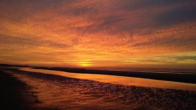 Výhody a nevýhody pití kávy a čaje